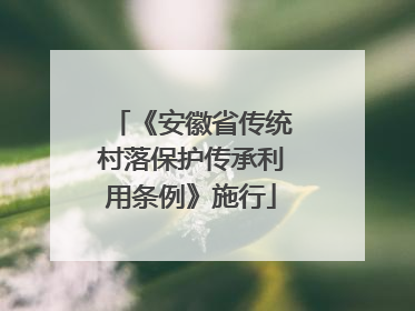 《安徽省传统村落保护传承利用条例》施行