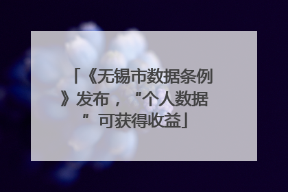 《无锡市数据条例》发布，“个人数据”可获得收益