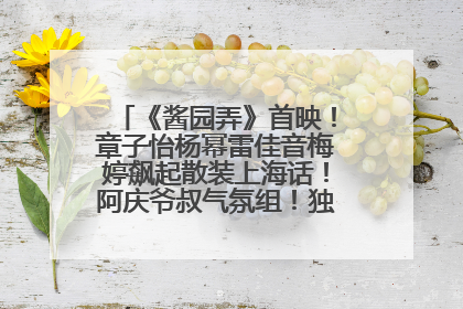 《酱园弄》首映！章子怡杨幂雷佳音梅婷飙起散装上海话！阿庆爷叔气氛组！独独没见他……