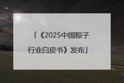 《2025中国粽子行业白皮书》发布