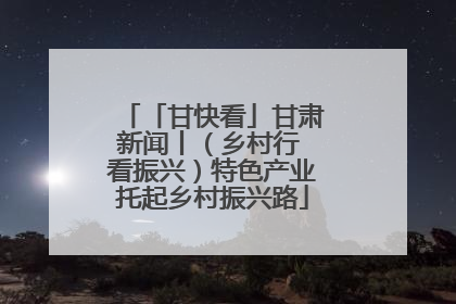 「甘快看」甘肃新闻丨（乡村行 看振兴）特色产业托起乡村振兴路