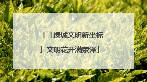 「绿城文明新坐标」文明花开满荥泽