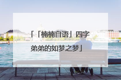 「楠楠自语」四字弟弟的如梦之梦