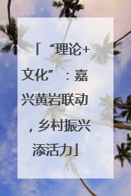 “理论+文化”：嘉兴黄岩联动，乡村振兴添活力