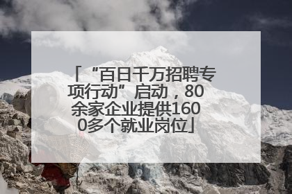 “百日千万招聘专项行动”启动，80余家企业提供1600多个就业岗位