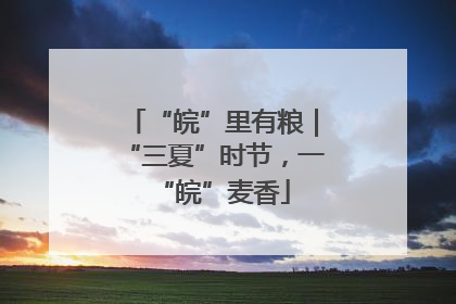 “皖”里有粮｜“三夏”时节，一“皖”麦香