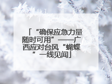 “确保应急力量随时可用”——广西应对台风“蝴蝶”一线见闻