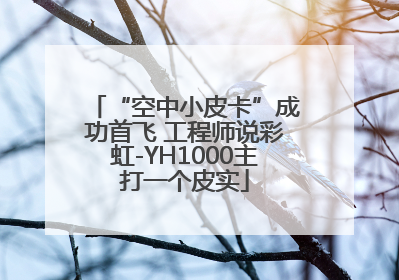 “空中小皮卡”成功首飞 工程师说彩虹-YH1000主打一个皮实