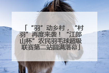 “羽”动乡村，“村羽”再度来袭！“江郎山杯”农民羽毛球超级联赛第二站圆满落幕