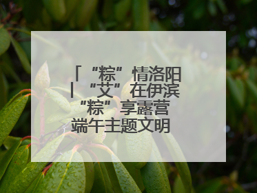 “粽”情洛阳丨“艾”在伊滨 “粽”享露营 端午主题文明实践活动启动