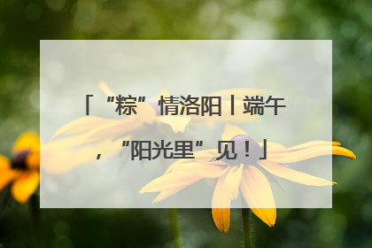 “粽”情洛阳丨端午，“阳光里”见！