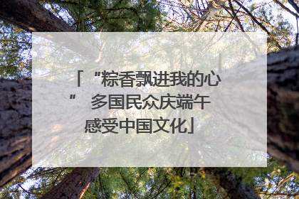 “粽香飘进我的心” 多国民众庆端午感受中国文化
