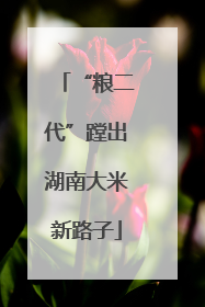 “粮二代”蹚出湖南大米新路子