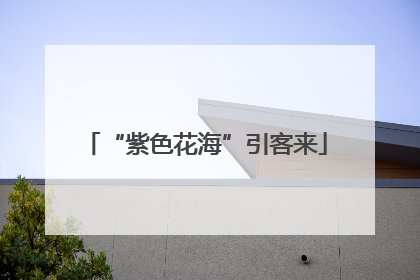 “紫色花海”引客来