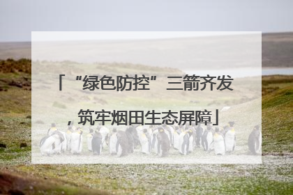 “绿色防控”三箭齐发，筑牢烟田生态屏障
