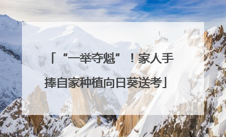“一举夺魁”！家人手捧自家种植向日葵送考
