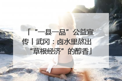 “一县一品”公益宣传丨武冈：卤水里熬出“草根经济”的醇香