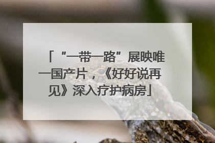 “一带一路”展映唯一国产片，《好好说再见》深入疗护病房