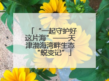 “一起守护好这片海”——天津渤海湾畔生态“蜕变记”