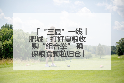 “三夏”一线丨肥城：打好夏粮收购“组合拳” 确保粮食颗粒归仓