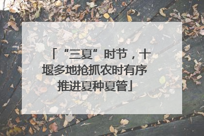 “三夏”时节，十堰多地抢抓农时有序推进夏种夏管