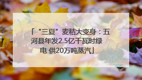 “三夏”麦秸大变身：五河县年发2.5亿千瓦时绿电 供20万吨蒸汽
