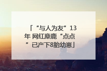“与人为友”13年 网红麋鹿“点点”已产下8胎幼崽