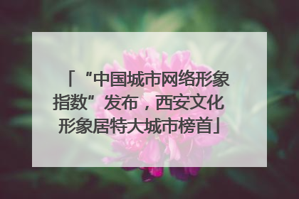 “中国城市网络形象指数”发布，西安文化形象居特大城市榜首