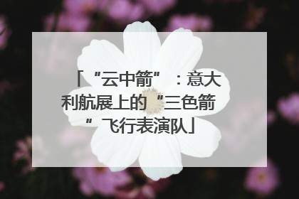“云中箭”：意大利航展上的“三色箭”飞行表演队