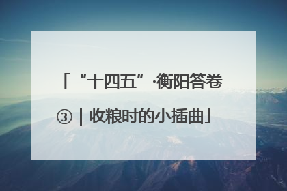 “十四五”·衡阳答卷③｜收粮时的小插曲