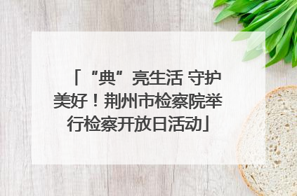 “典”亮生活 守护美好！荆州市检察院举行检察开放日活动