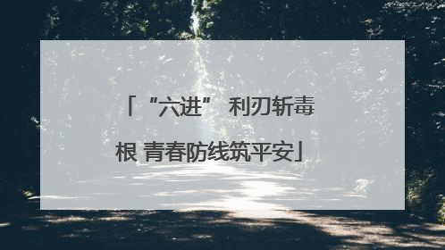 “六进” 利刃斩毒根 青春防线筑平安