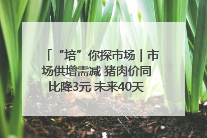 “培”你探市场｜市场供增需减 猪肉价同比降3元 未来40天便宜猪肉敞开吃