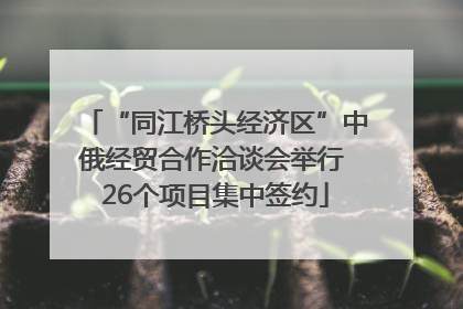 “同江桥头经济区”中俄经贸合作洽谈会举行 26个项目集中签约
