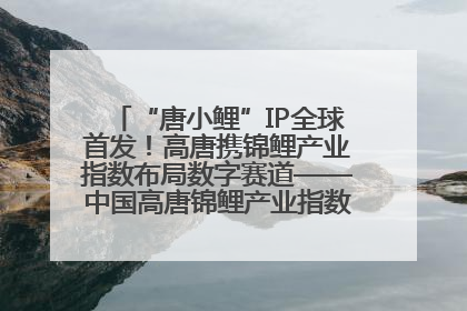 “唐小鲤”IP全球首发！高唐携锦鲤产业指数布局数字赛道——中国高唐锦鲤产业指数暨“唐小鲤”IP全球首发仪式在杭州举行