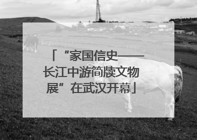 “家国信史——长江中游简牍文物展”在武汉开幕