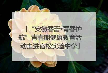 “安徽春蕾•青春护航”青春期健康教育活动走进宿松实验中学