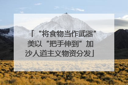 “将食物当作武器” 美以“把手伸到”加沙人道主义物资分发