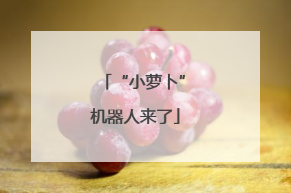 “小萝卜”机器人来了