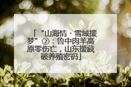 “山海情・雪域援梦”②：鲁中肉羊高原零伤亡，山东援藏破养殖密码