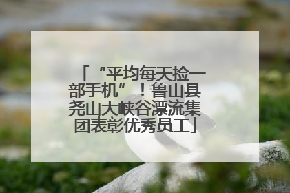 “平均每天捡一部手机”！鲁山县尧山大峡谷漂流集团表彰优秀员工