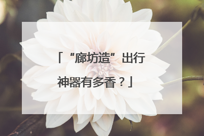 “廊坊造”出行神器有多香？