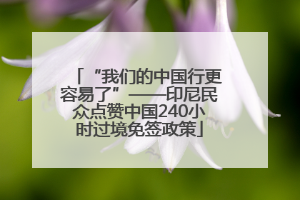 “我们的中国行更容易了”——印尼民众点赞中国240小时过境免签政策