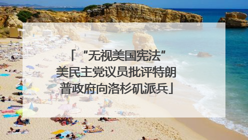“无视美国宪法” 美民主党议员批评特朗普政府向洛杉矶派兵