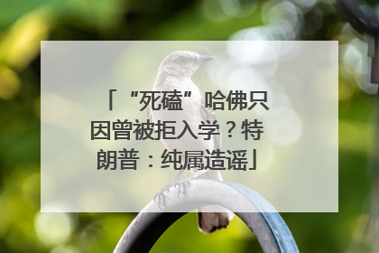 “死磕”哈佛只因曾被拒入学？特朗普：纯属造谣