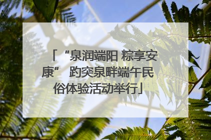 “泉润端阳 粽享安康” 趵突泉畔端午民俗体验活动举行