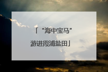 “海中宝马”游进霞浦盐田