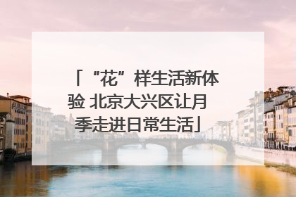 “花”样生活新体验 北京大兴区让月季走进日常生活