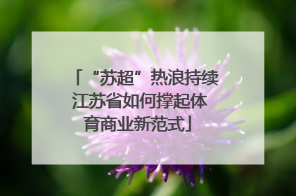 “苏超”热浪持续 江苏省如何撑起体育商业新范式