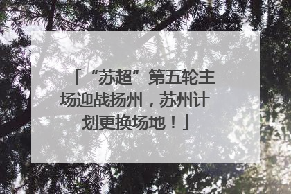 “苏超”第五轮主场迎战扬州，苏州计划更换场地！